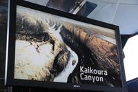 Kaikoura Canyon Bild auf dem Schiff