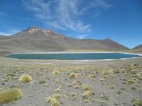 Lagunen Miniques und Miscanti