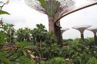 Gardens by the Bay