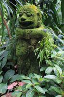 Orchideengarten Singapr