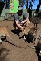 Featherdale Wildlife Park