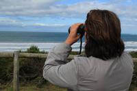 Great Ocean Road Melbourne