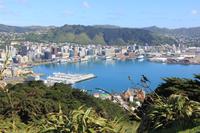 Blick vom Mount Victoria auf Wellington