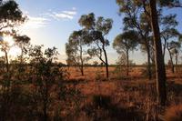 Morgenspaziergang am Uluru