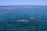Schnorcheln am Great Barrier Reef