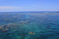 Schnorcheln am Great Barrier Reef