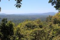 Atherton Tablelands