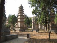 Besichtigung Shaolinkloster und Pagodenwald