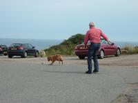 auch eine Pause muss sein