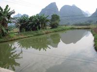 Yangshou - Fahrradtour zum Mondberg