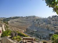 11.Tag, 03.11.2013: Besuch der Davidsstadt (Blick auf den Ölberg)