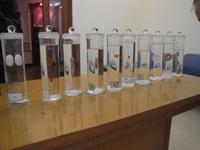 Besichtigung - Seidenmanufaktur