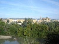 041 Cordoba