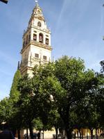 049 Glockenturm Kathedrale-Mezquita Cordoba