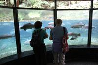 Im Rainbow Springs Park Rotorua