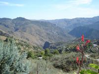 310 Las Alpujarras