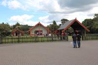 Im Maori-Zentrum Te Puia in Rotorua