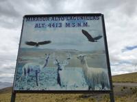 Alto Lagunillas - 4413 m