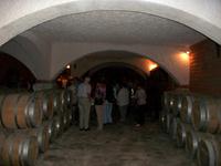 Weinprobe