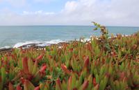 Am Ninety Mile Beach