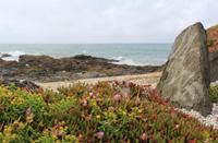 Am Ninety Mile Beach