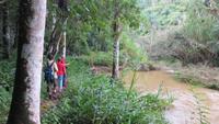 0792 Wanderung im Parque Guanayara