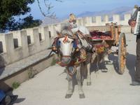 traditionell geschmückte Kutsche