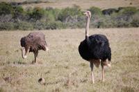Familie Stauß im Kariega-Park