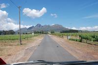 In der Weinregion um Stellenbosch: Blick auf die Helderberge