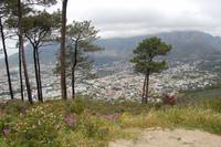 Blick vom Signal-Hill