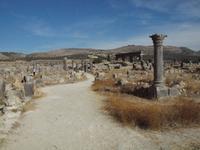 Volubilis