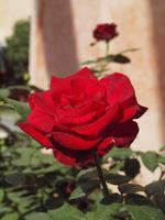 Bunte Wegbegleiter während der Besichtigung