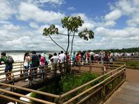 Argentinien/ Parque Nacional Iguazu - an den Diablo-Wasserfällen
