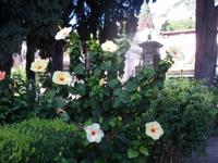 Villa Comunale,Taormina