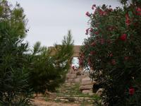 im zweiten Tempelbezirk