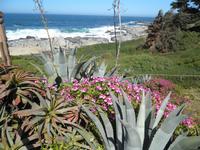 Isla Negra Pablo Neruda Haus