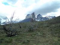 Cuernos del Paine