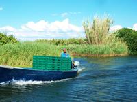 Bootsfahrt auf der Neretva