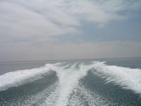 Bootsfahrt zu den Ballestas Inseln