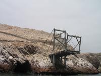 Bootsfahrt zu den Ballestas Inseln