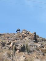 Fahrt zum Cruz del Cóndor