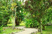 Im Botanischen Garten von Merida