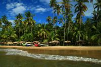 Am Strand von Medina