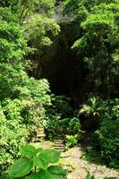 Guacharo Höhle