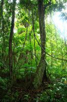Im Orinoco Delta