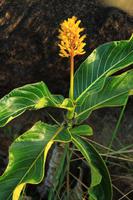Canaima Nationalpark