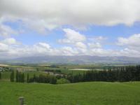 erste Eindrücke von der Landschaft Neuseelands