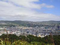 Blick über Wellington