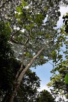 Costa Rica, Carara-Nationalpark