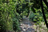 Costa Rica, Carara-Nationalpark